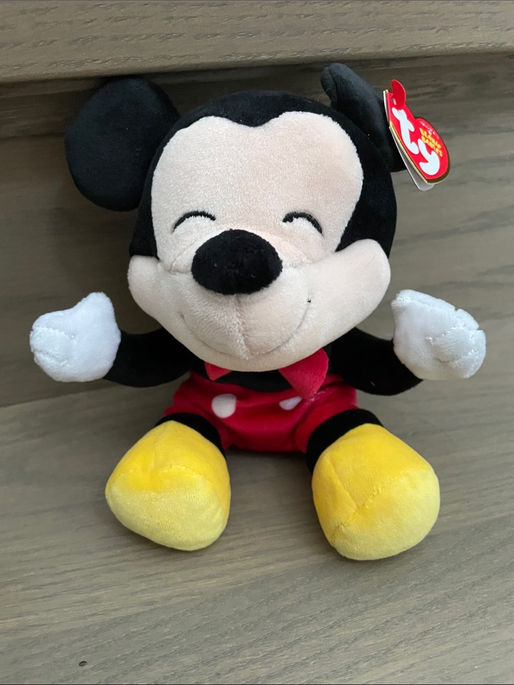 Ty Mickey Mouse Plush Stuffie or stuffed animal